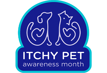 August is itchy pet awareness blog image page 1