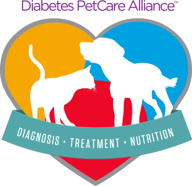 November Diabetes awareness month blog image page 1